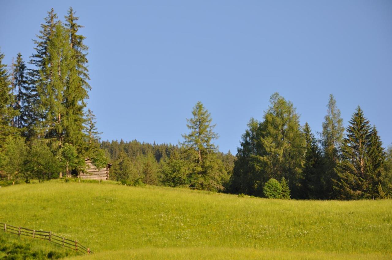 Das "Zwislegggut" Wagrain Buitenkant foto