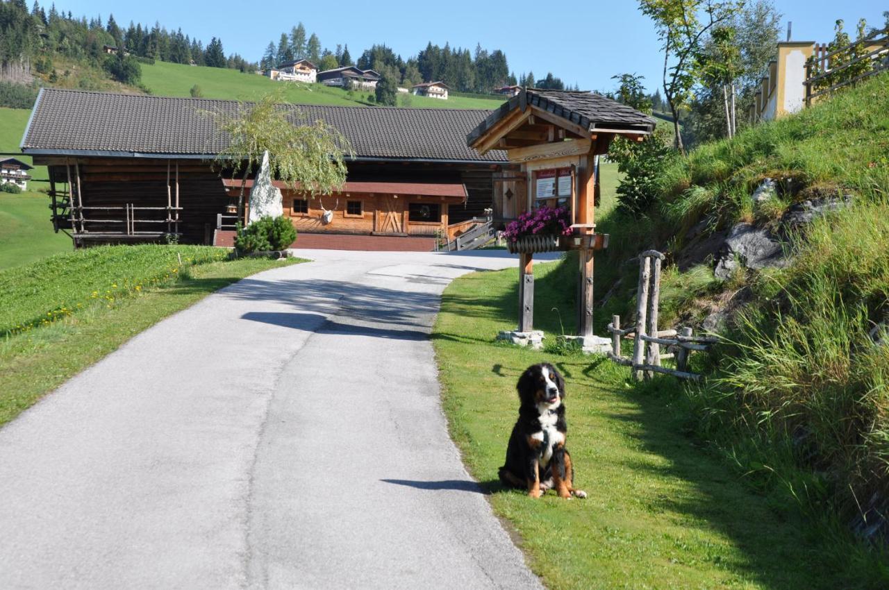 Das "Zwislegggut" Wagrain Buitenkant foto